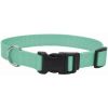 Coastal Pet Teal Nylon Tuff Dog Collar with Plastic Buckle